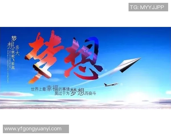 武汉飞盘队的拼搏之路：追寻梦想与团结的力量