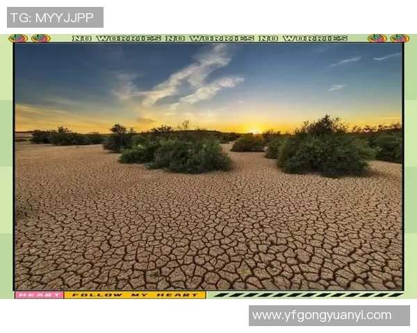 全球气候变化加剧极端天气现象 专家警告气候灾难或将频发