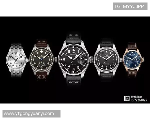 世界纪录保持者的传奇人生与突破极限的非凡历程 世界纪录保持者的传奇人生与突破极限的非凡历程