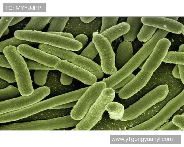 最新研究显示：海洋中发现新型微生物生物多样性异常丰富