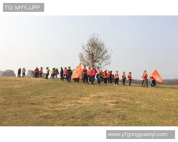 南京攀岩队成员个人能力全面对比与分析探讨 南京攀岩队成员个人能力全面对比与分析探讨