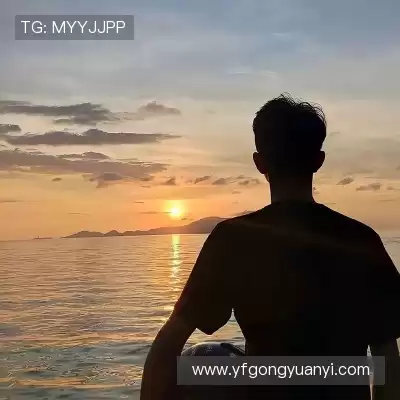 龚韶禹